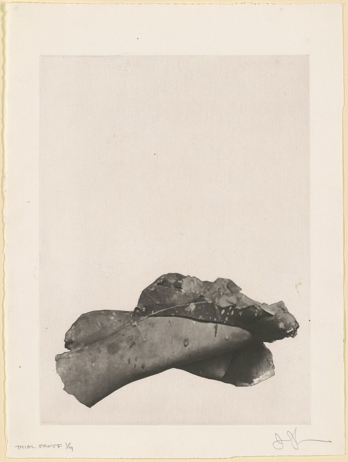 Feet (b) [trial proof 1] by Jasper Johns