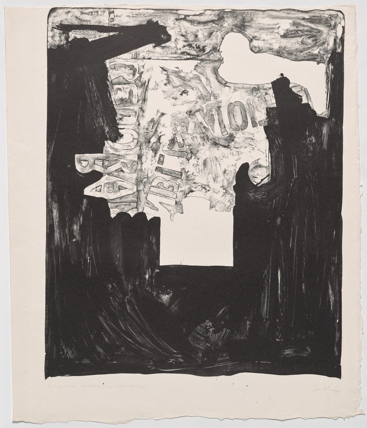 Decoy [trial proof] by Jasper Johns
