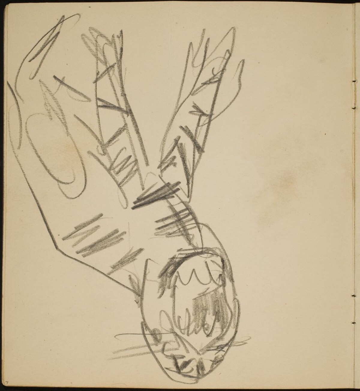 Tiger mit geöffnetem Maul (Open Tiger Mouth) [p. 4] by Max Beckmann