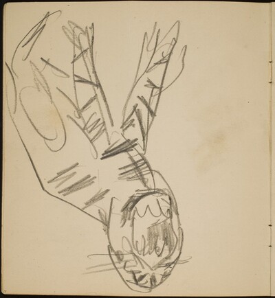Tiger mit geöffnetem Maul (Open Tiger Mouth) [p. 4]