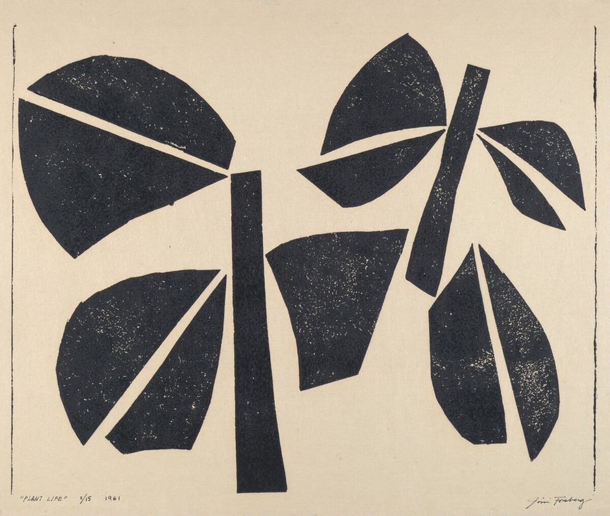 Plant Life by Jim Forsberg