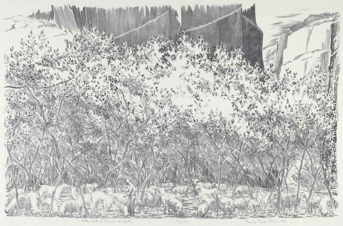 Cottonwoods in Canyon de Chelly by Prentiss Taylor