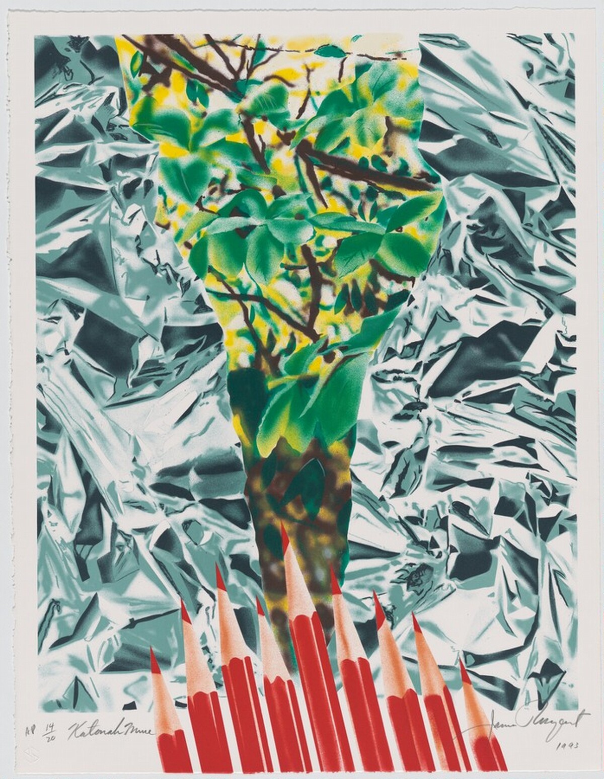 Katonah Muse by James Rosenquist