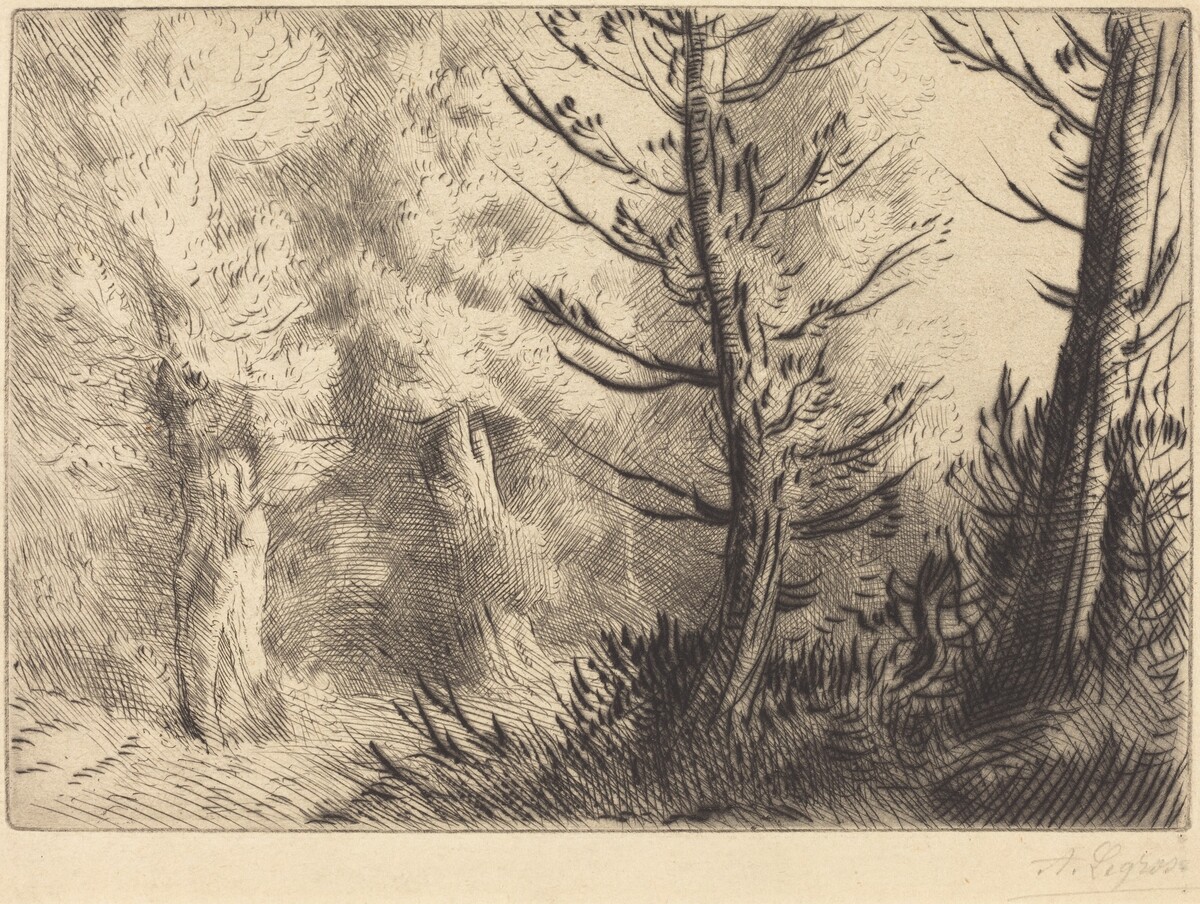 In the Forest of Fontainebleau (Dans le foret de Fontainebleau) by Alphonse Legros