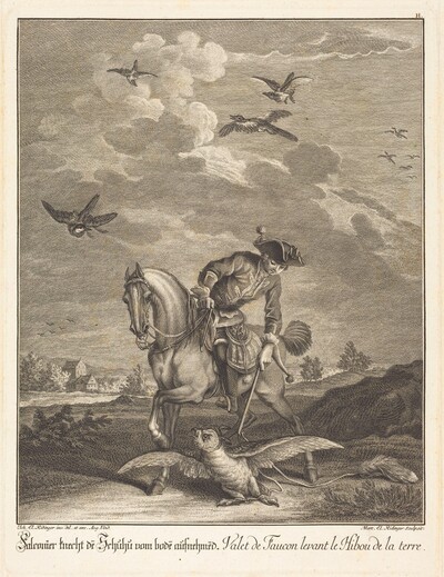 Falconeer Lifting an Owl from the Ground