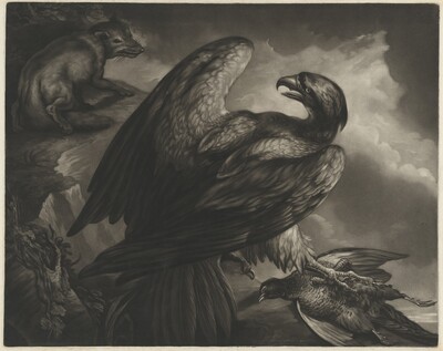 Eagle and Fox