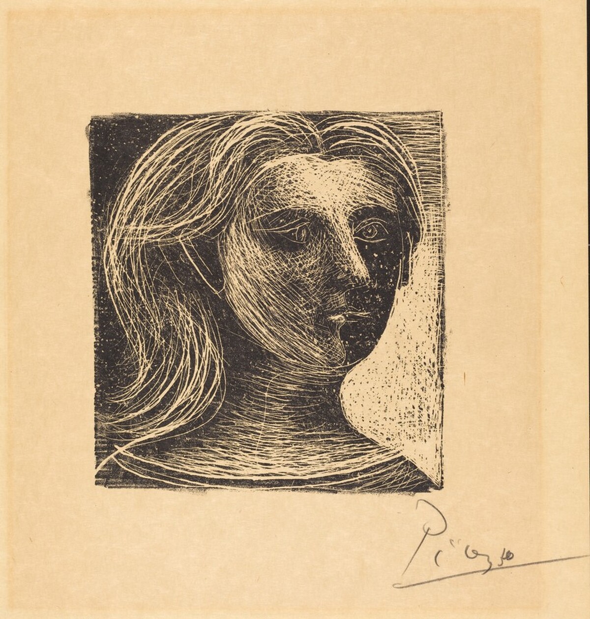 Head of a Woman by Pablo Picasso