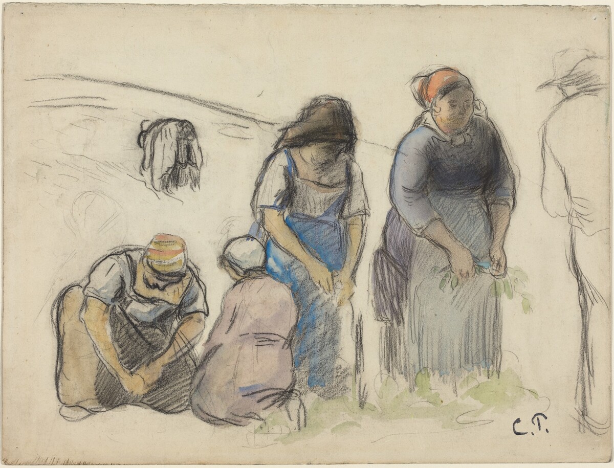 Pea Harvesters [recto] by Camille Pissarro