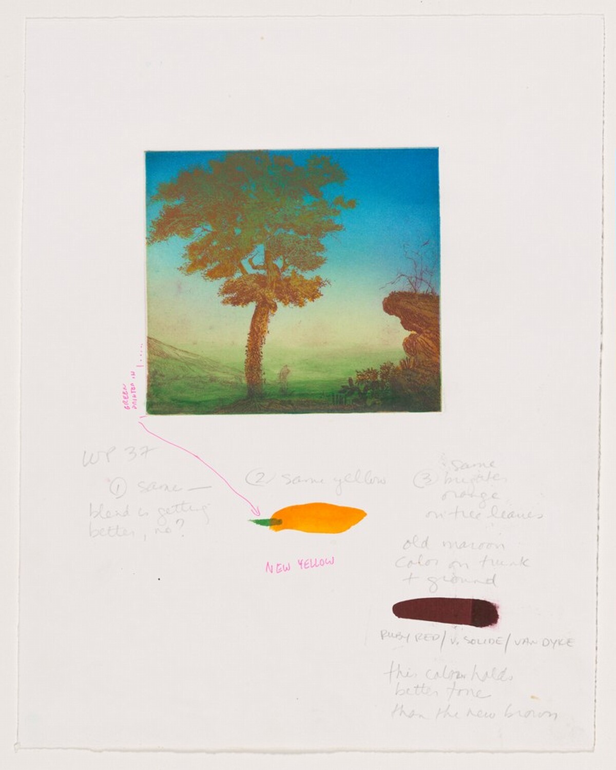 Untitled (#2) [working proof 37a] by Joan Nelson
