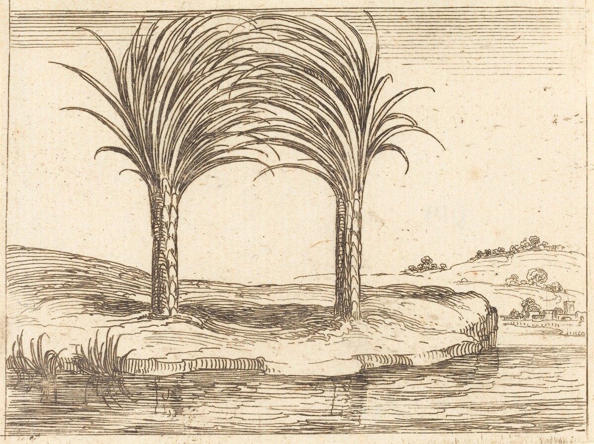 Two Palm Trees by Jacques Callot