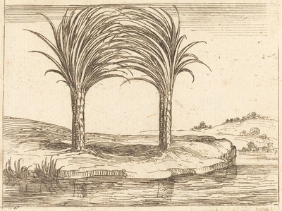 Two Palm Trees