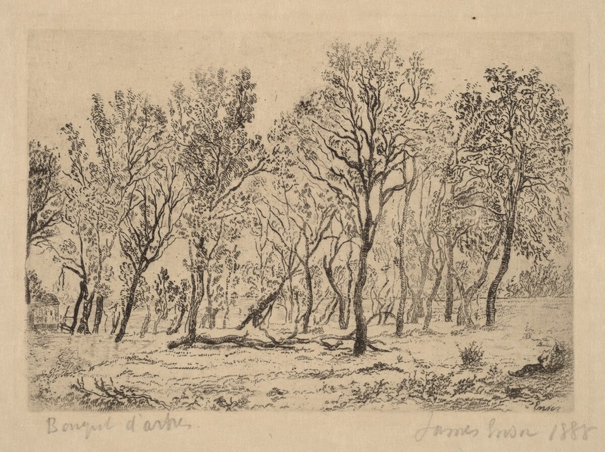 Stand of Trees (Bouquet d'arbres) by James Ensor
