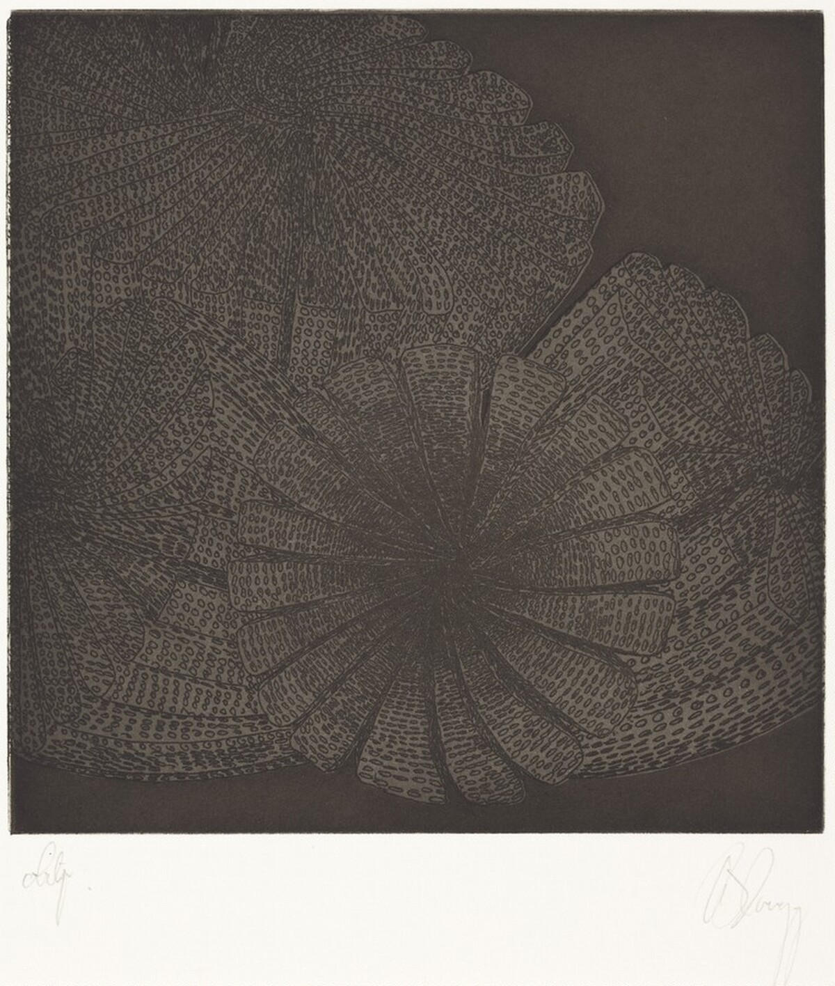 Untitled, State 1 by Tony Cragg