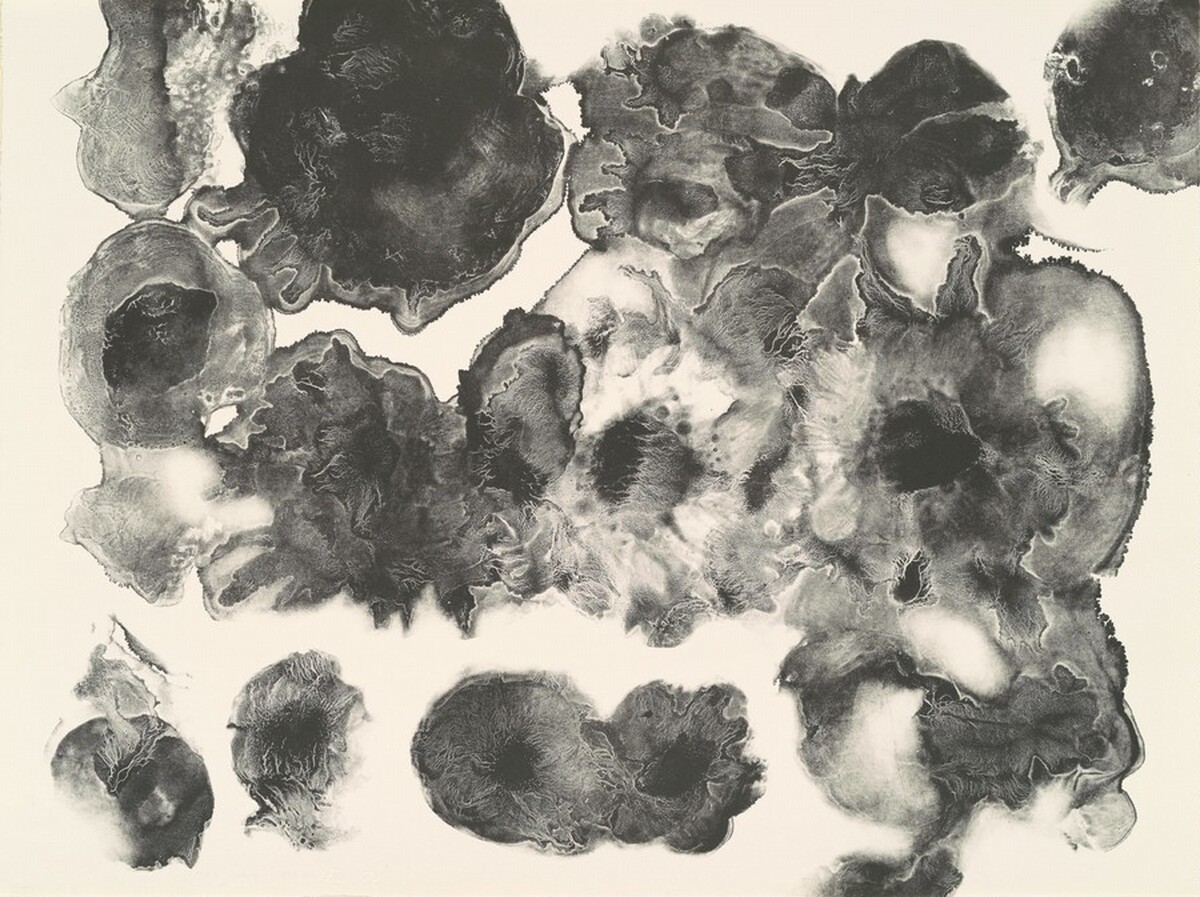 Untitled by Ruth Asawa