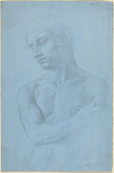 Bust of Nude Man