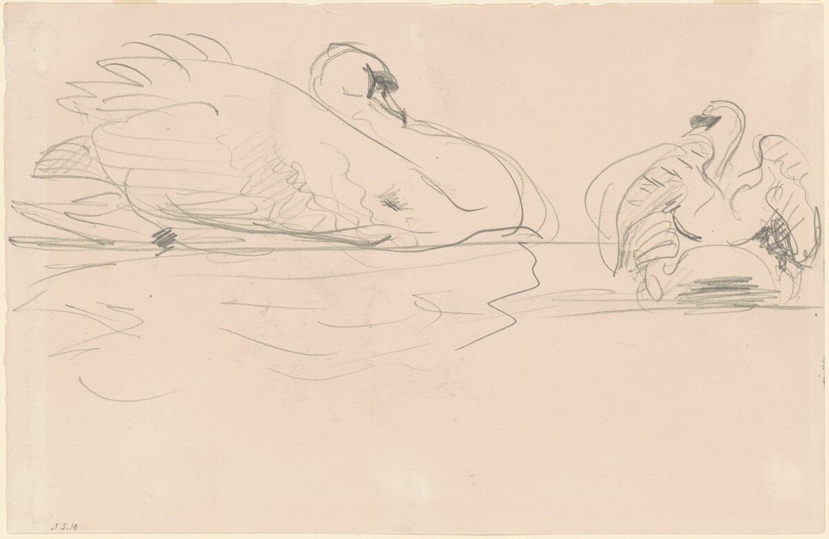 Swans in the Water by John Singer Sargent