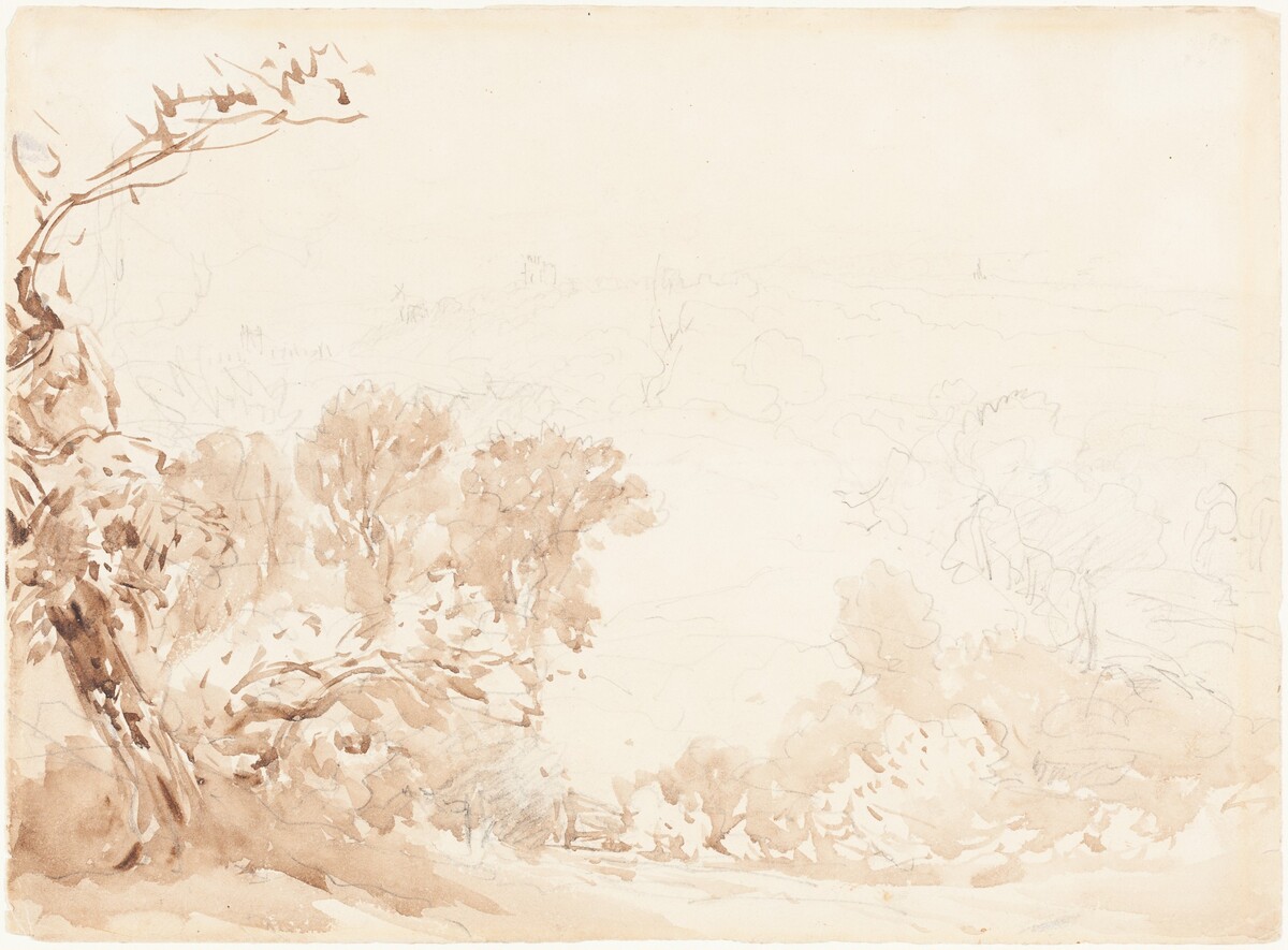 Hillside and Trees by David Cox