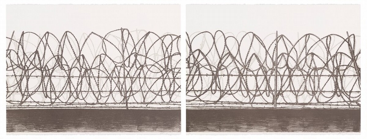 Barbed Wire Series I and II by Kakyoung Lee