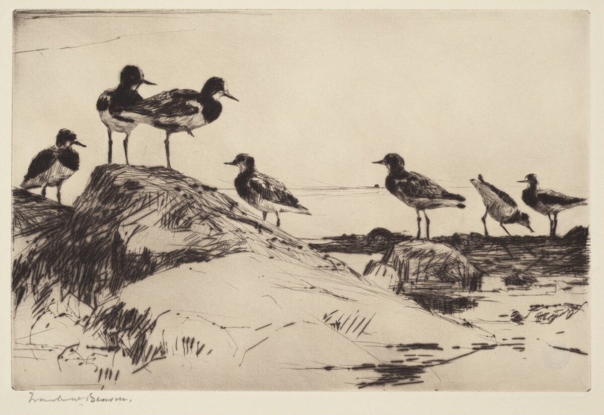 Turnstones by Frank Weston Benson