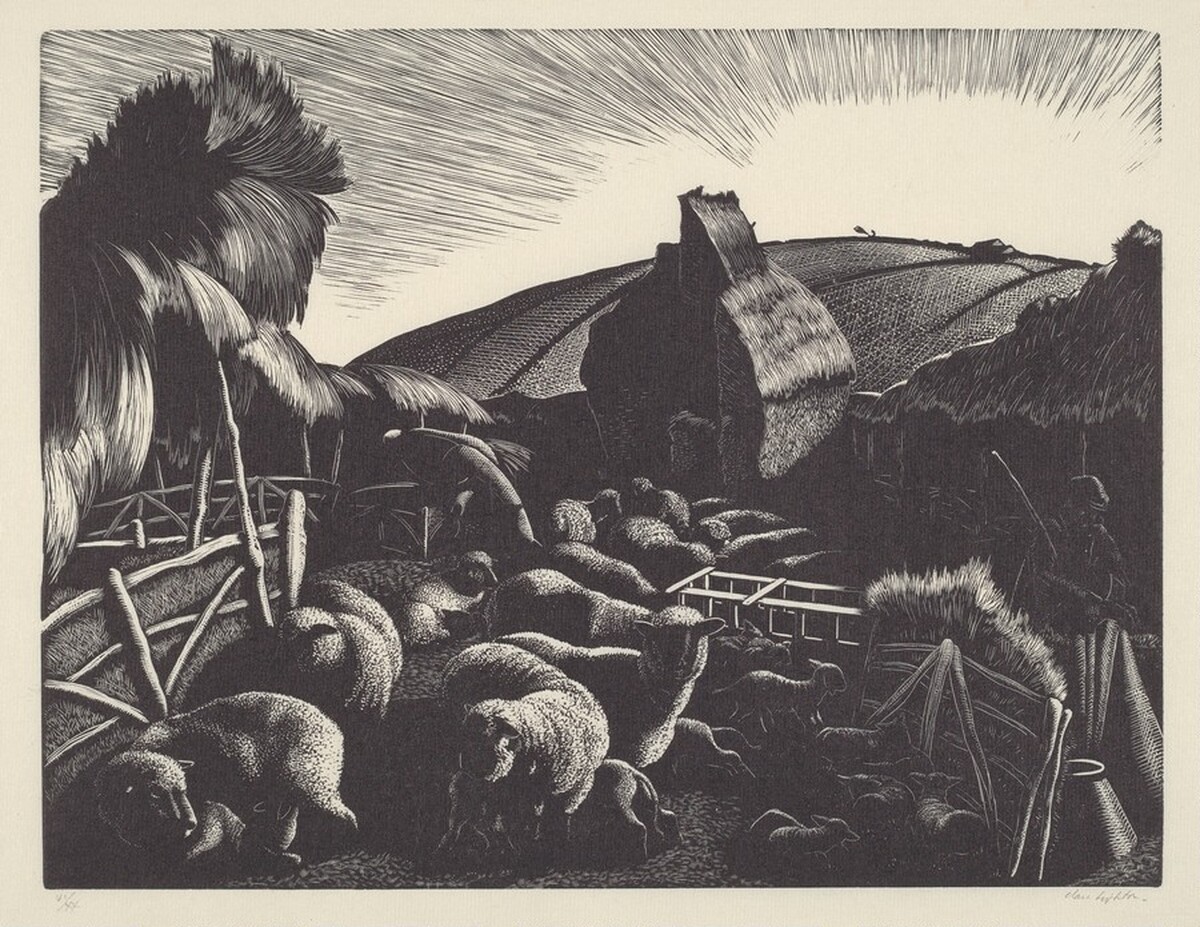 Lambing by Clare Leighton
