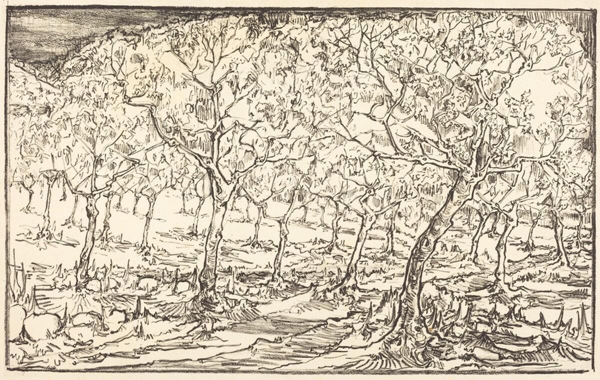 Almond Trees in Blossom by Tomás Harris