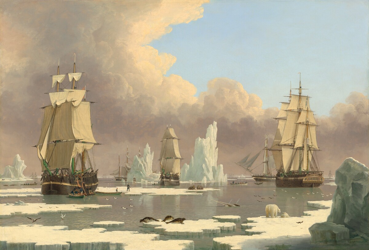 The Northern Whale Fishery: The "Swan" and "Isabella" by John Ward of Hull