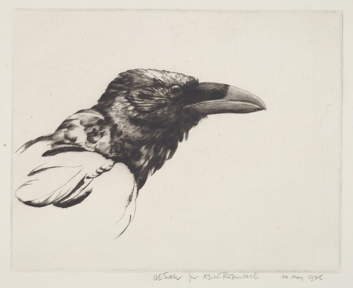 Old Raven by Henri Emerson Tuttle