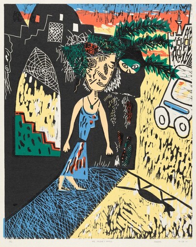 The Spider's House