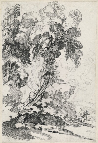 A Towering Tree with Travelers