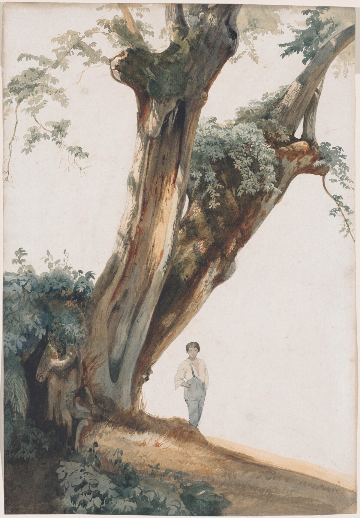 Ancient Trees in the Roman Campagna by Giovanni Costa