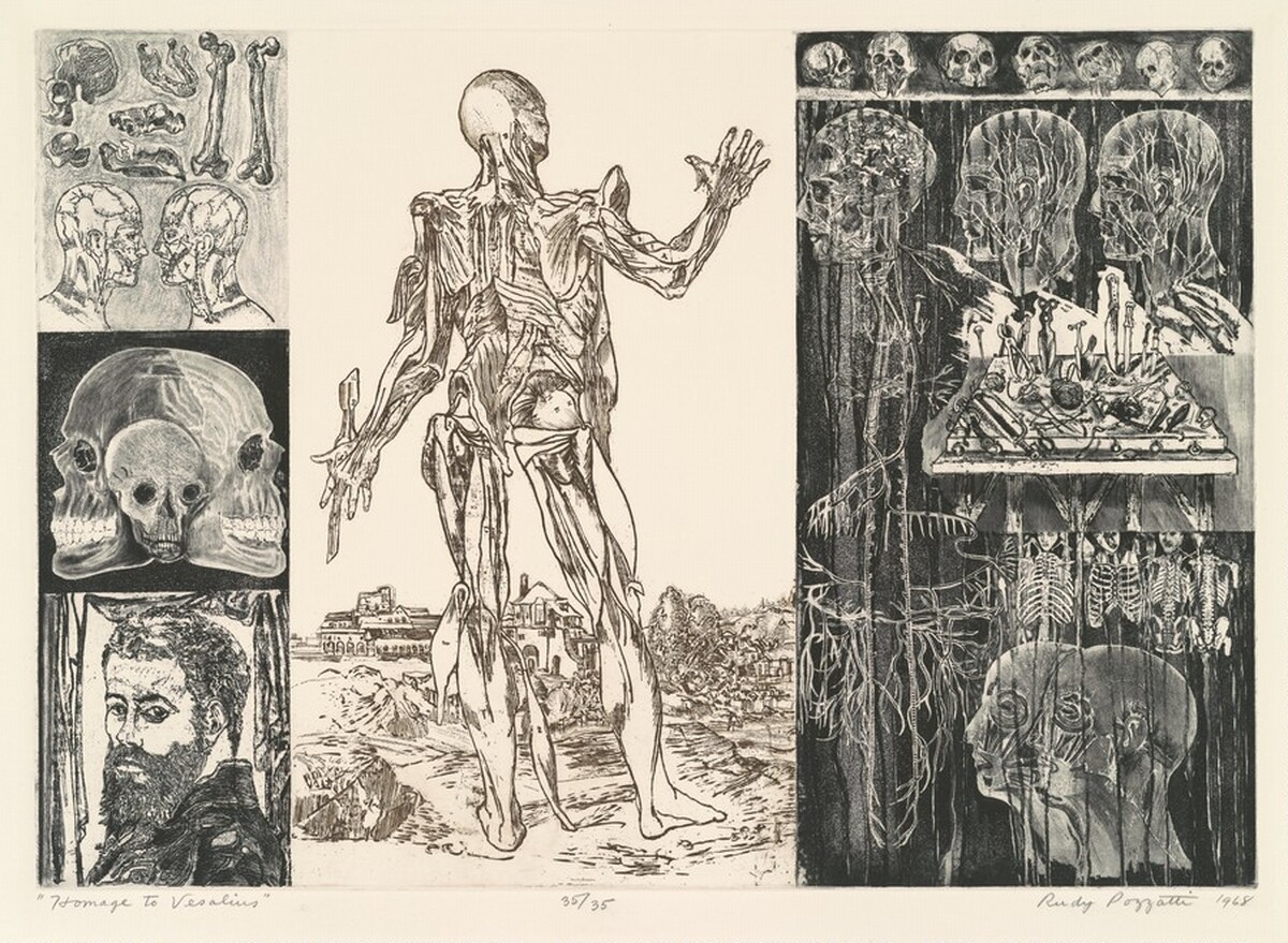 Homage to Vesalius by Rudy Pozzatti