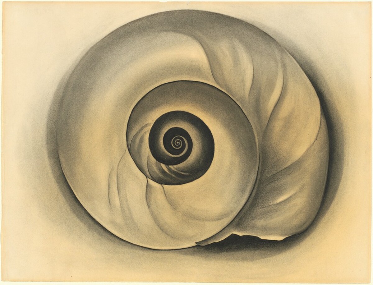 The Shell by Georgia O'Keeffe