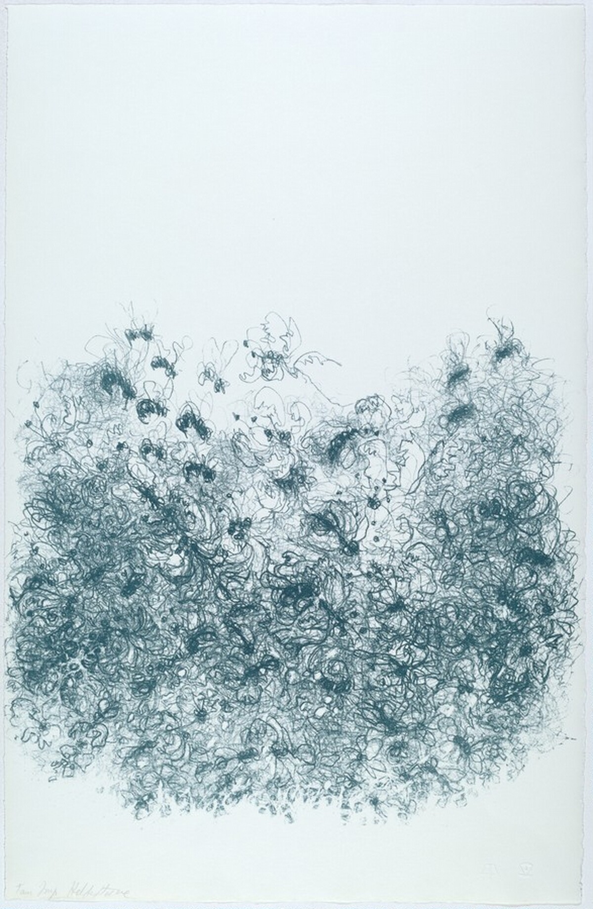 Untitled by Hedda Sterne