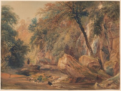 Waterfall in the Dingle at Badger Hall
