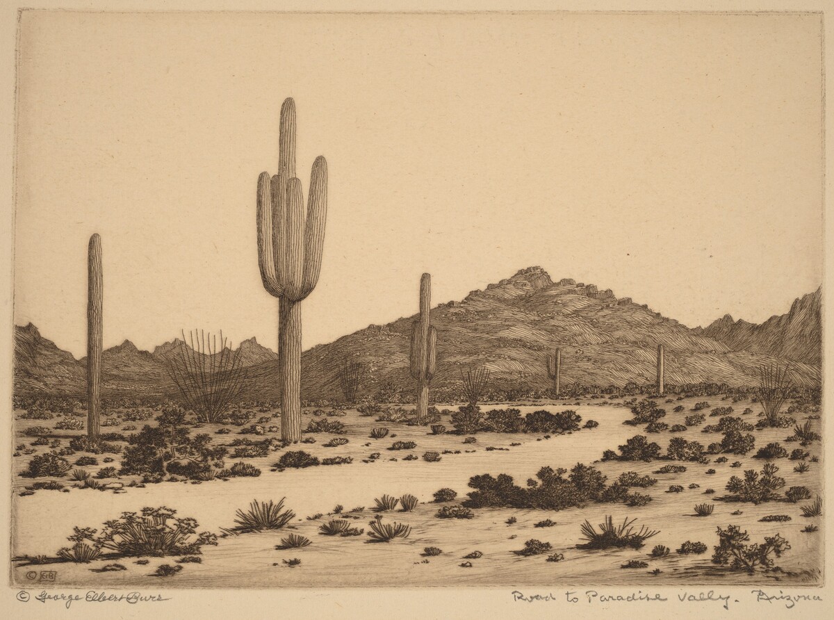Road to Paradise Valley, Arizona by George Elbert Burr