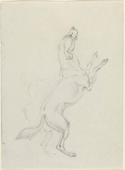 A Hound Jumping