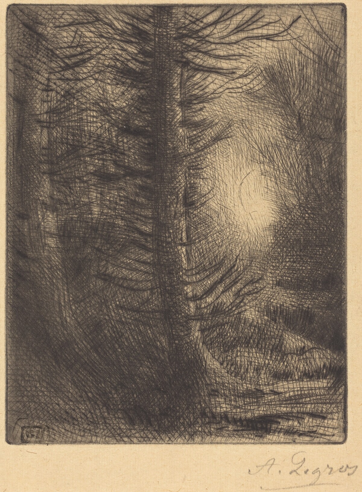 Woods in Winter Sun, 1st plate (Soleil d'hiver dans les bois) by Alphonse Legros