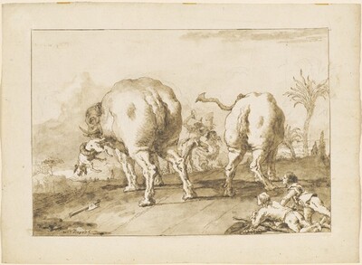 Two Rampaging Elephants