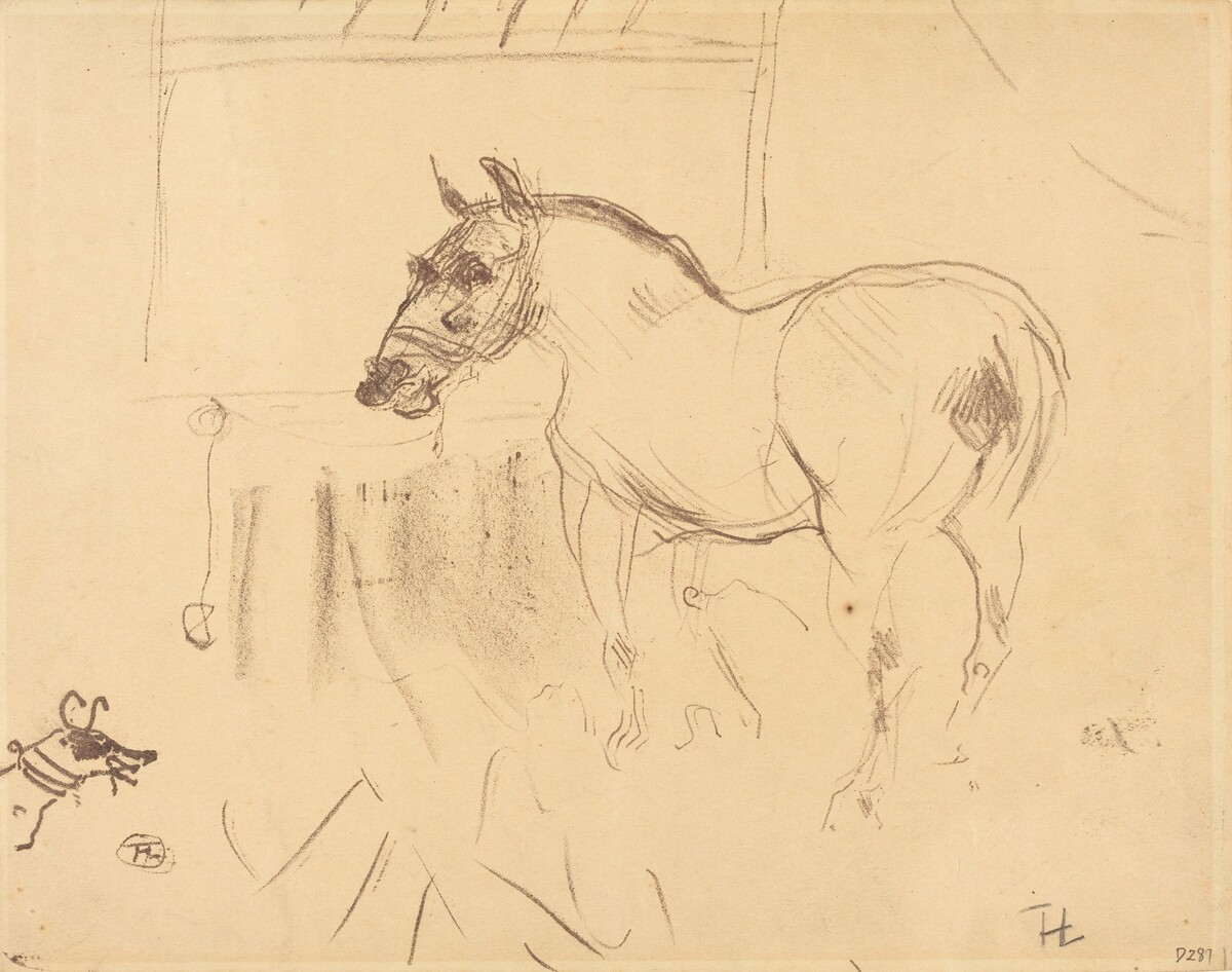 The Small Pony from Calmese (Le petit poney de Calmèse) by Henri de Toulouse-Lautrec