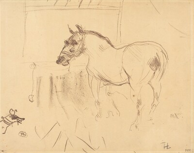 The Small Pony from Calmese (Le petit poney de Calmèse)