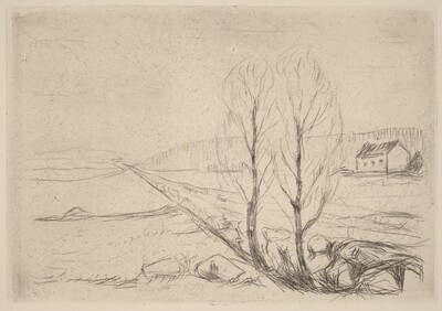 Norwegian Landscape