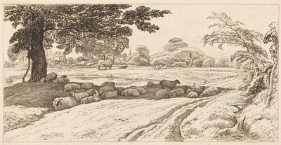 Sheep at Noon