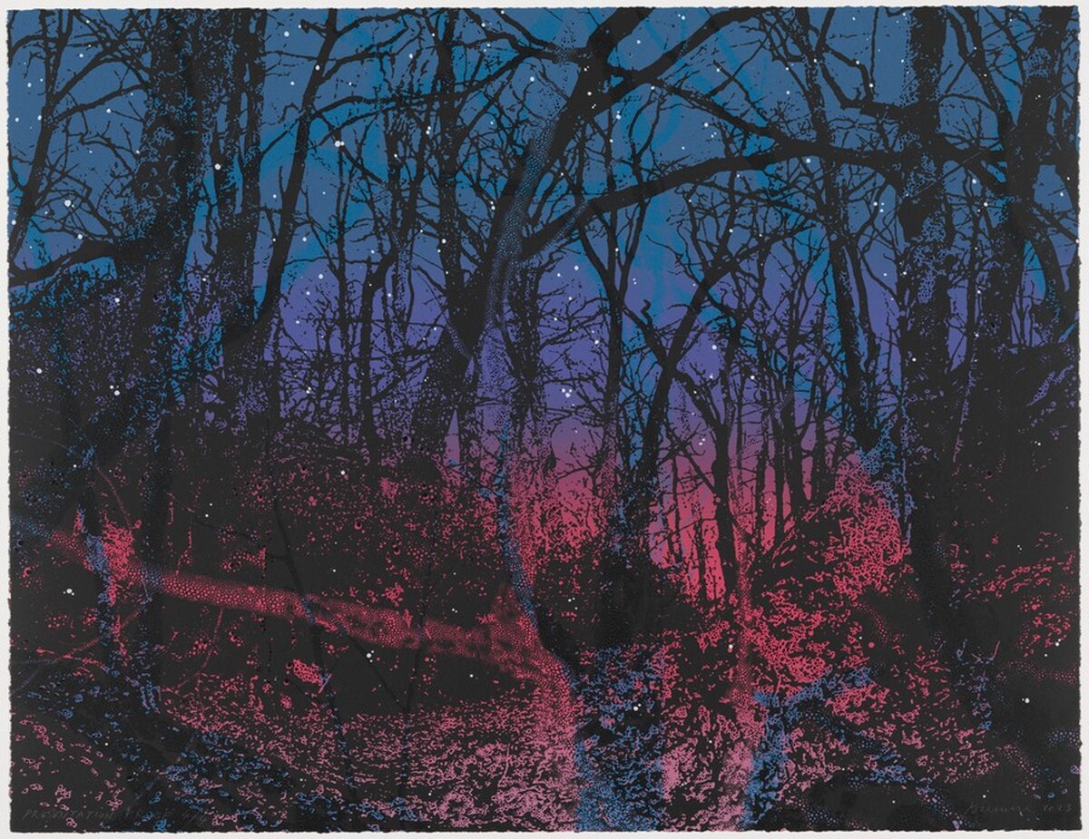 Sous Bois from Three Guilty Landscapes by Sebastiaan Bremer