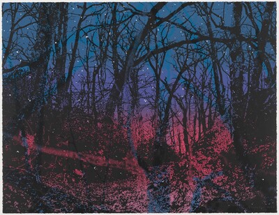 Sous Bois from Three Guilty Landscapes
