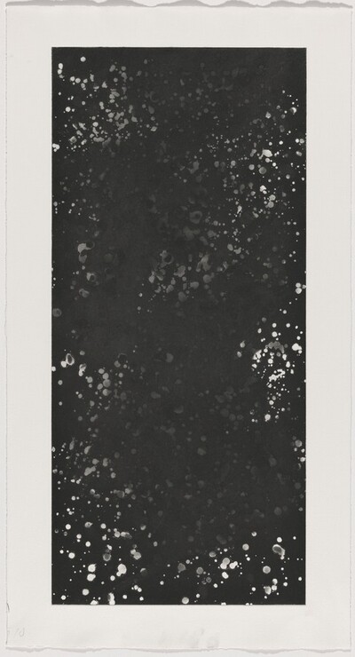 A Walk in the Woods [working proof 1 for Left Panel]