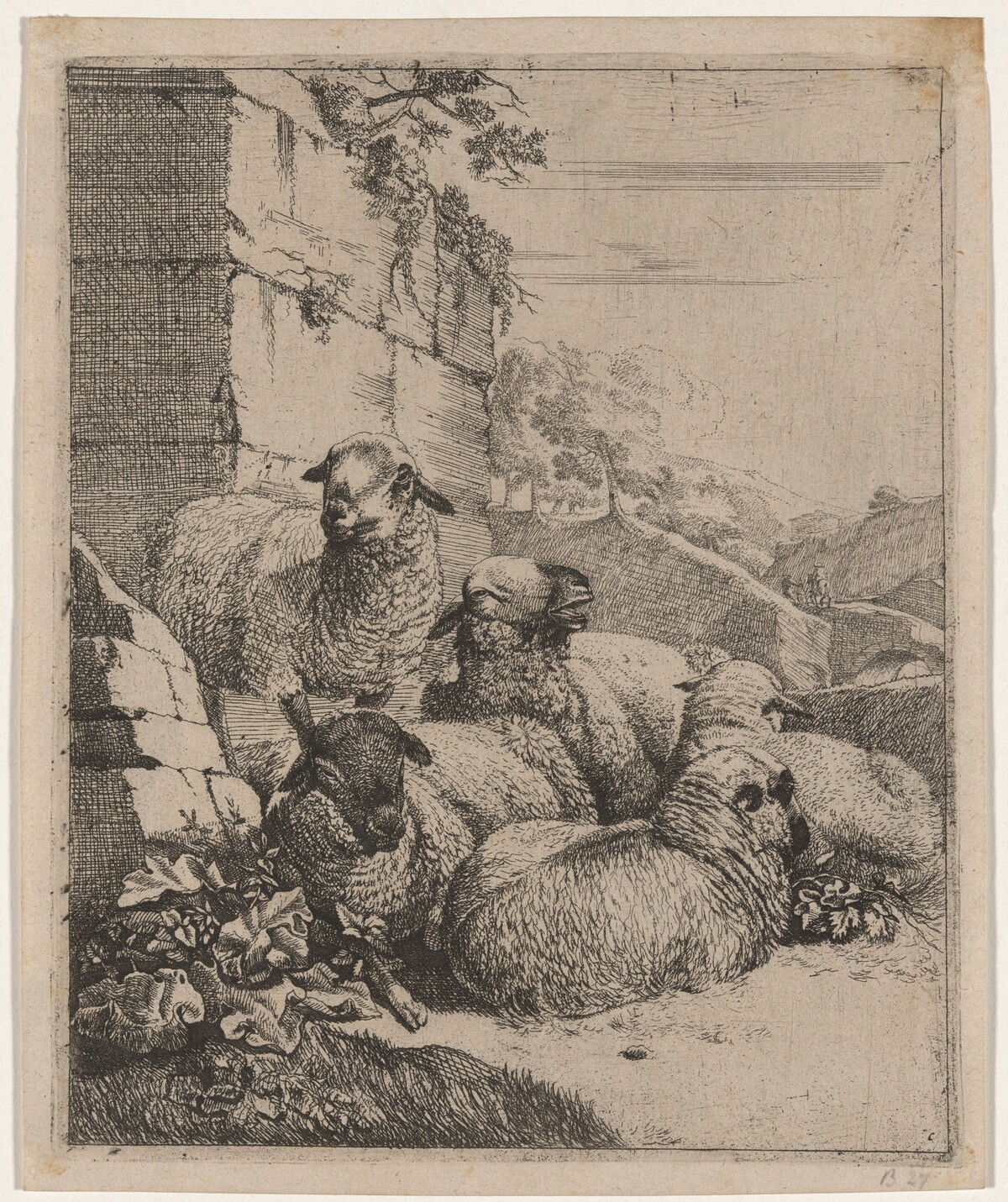 Flock of Sheep Resting by Johann Heinrich Roos