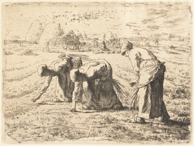The Gleaners (Les Glanenses)