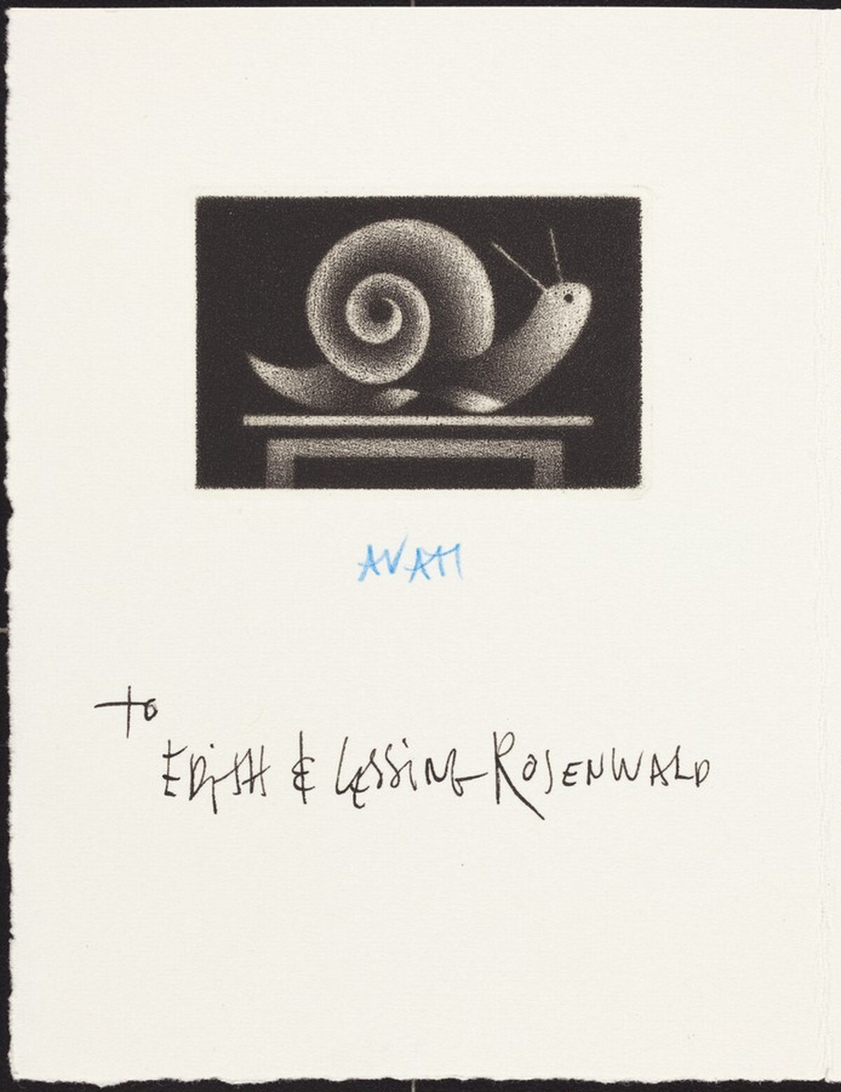 Snail by Mario Avati