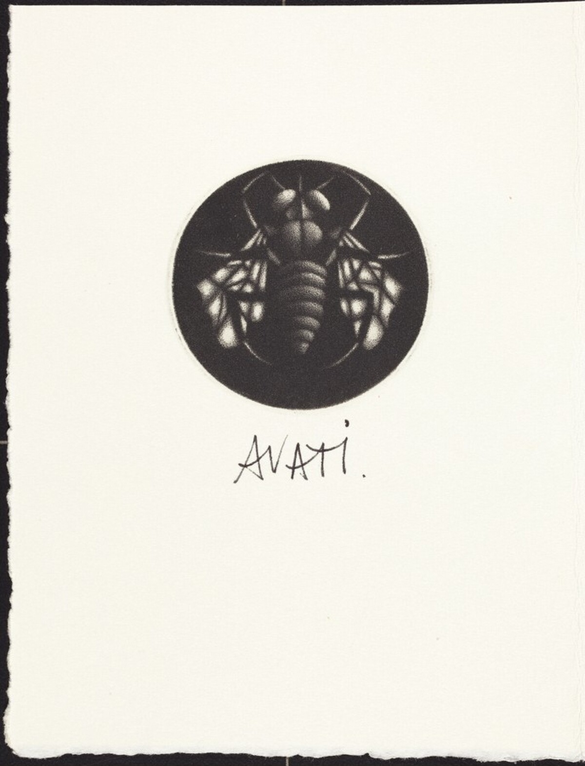 Guepe by Mario Avati
