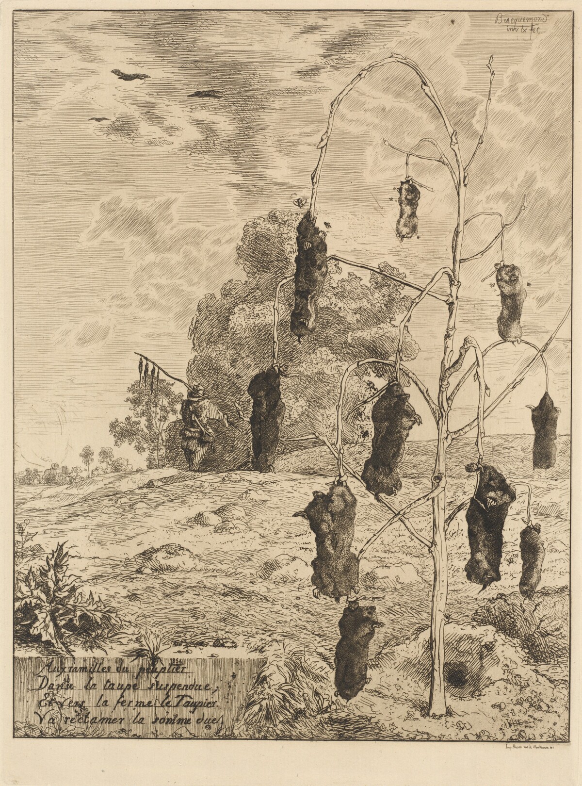 The Moles (Les Taupes) by Félix Bracquemond